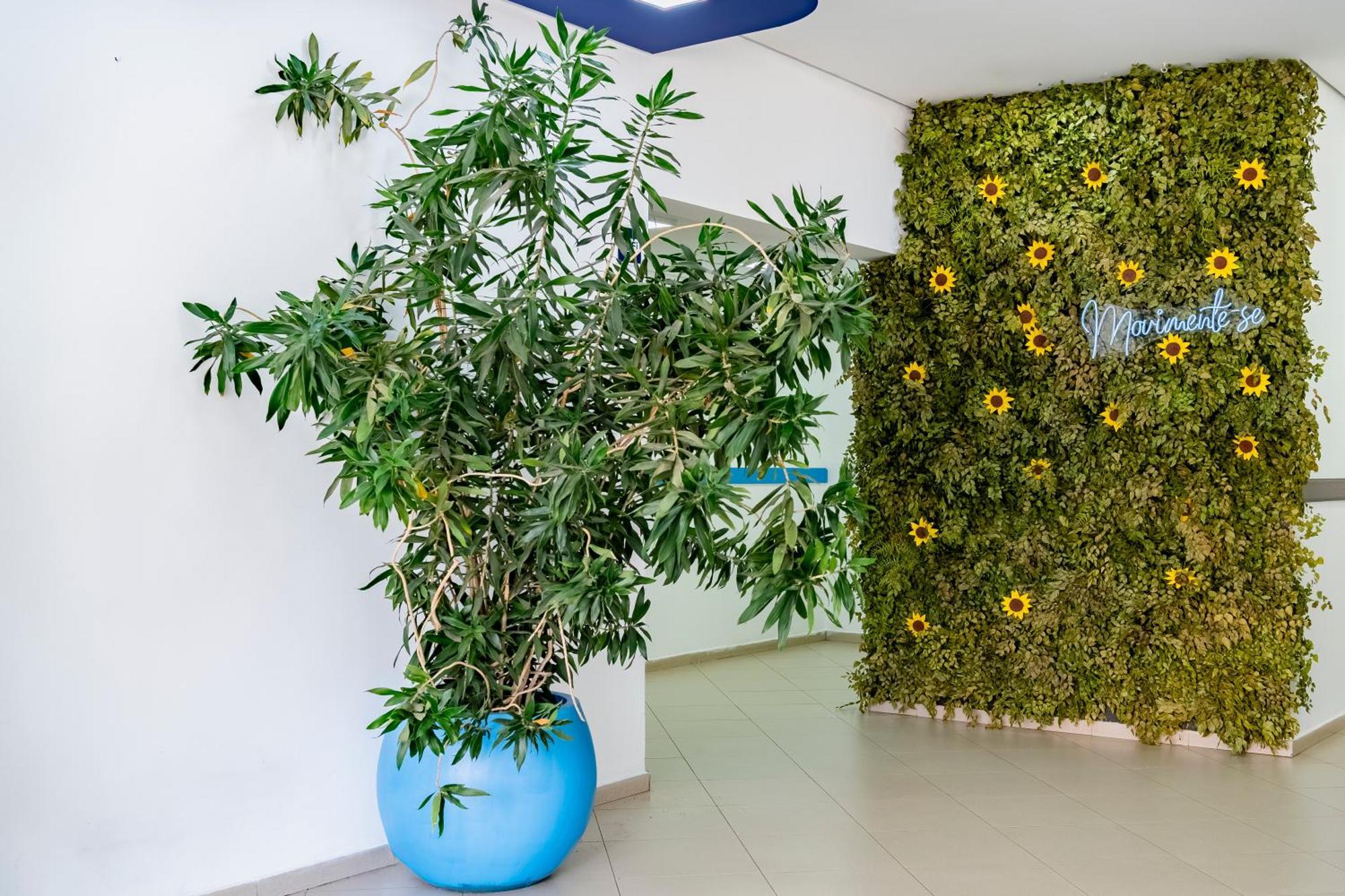 Ibis Budget Piracicaba Bagian luar foto